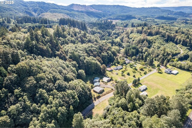 11754 Colvin Rd, Clatskanie, OR 97016 - bird's eye view of a forest and mountains