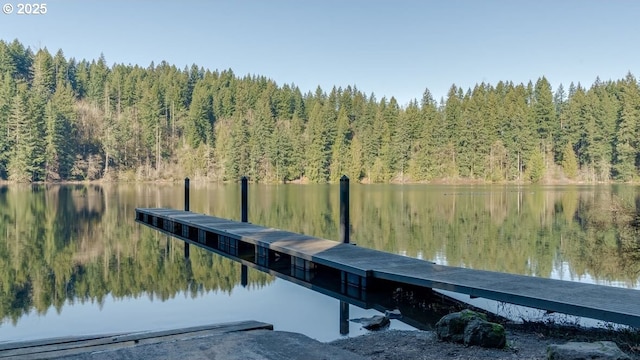 view of dock featuring a water view and a forest view