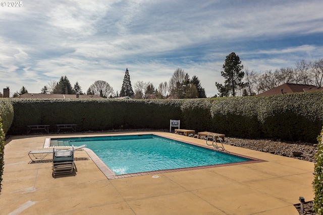 view of swimming pool with a patio area