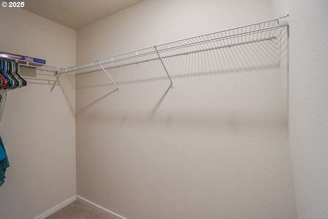 2804 N 3rd Way, Ridgefield, WA 98642 - spacious closet with carpet floors