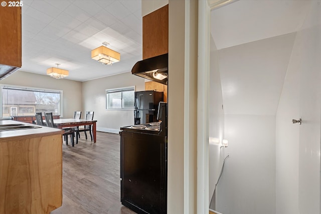 kitchen with baseboards, a healthy amount of sunlight, black appliances, and wood finished floors