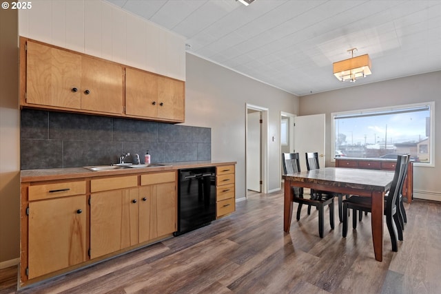 kitchen with dark wood-type flooring, black dishwasher, tasteful backsplash, and a sink