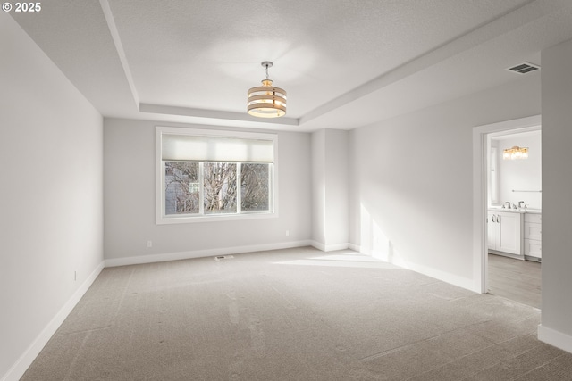 spare room featuring light carpet, a textured ceiling, and a tray ceiling