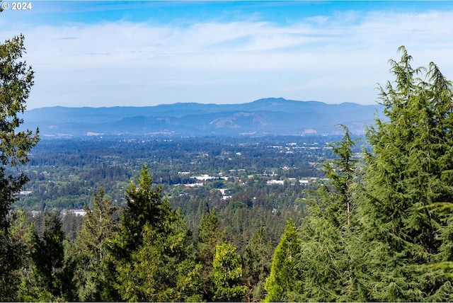 view of mountain feature with a wooded view