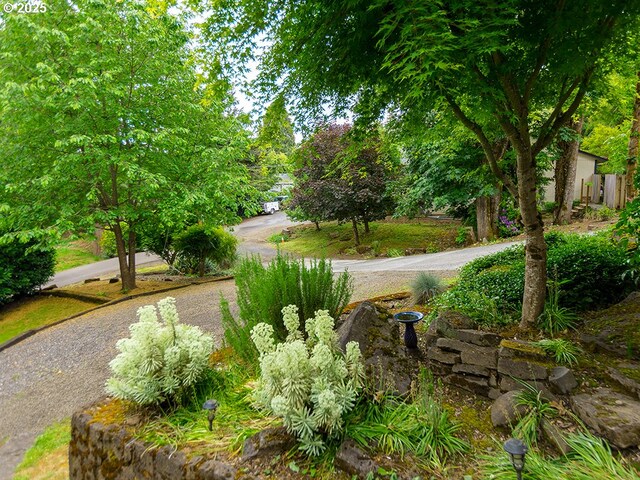 1339 NW 7th Ave, Camas, WA 98607 - view of yard