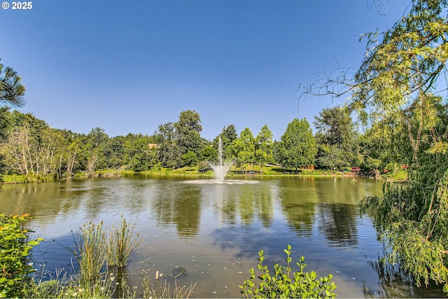 9122 NW Wood Rose Loop, Portland, OR 97229 - water view