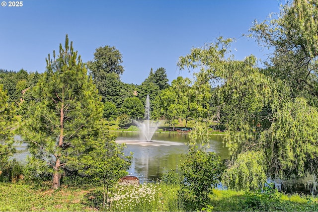 9122 NW Wood Rose Loop, Portland, OR 97229 - water view