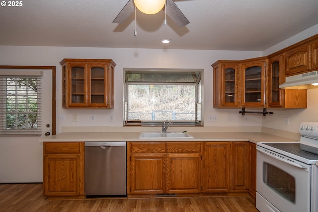 128 NW Woodrose Ct, Roseburg, OR 97471 - kitchen with stainless steel dishwasher, white range with electric cooktop, under cabinet range hood, and brown cabinets