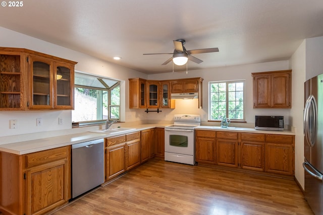 128 NW Woodrose Ct, Roseburg, OR 97471 - kitchen featuring appliances with stainless steel finishes, under cabinet range hood, plenty of natural light, a ceiling fan, and recessed lighting