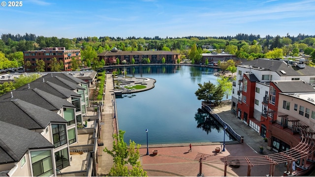 property view of water