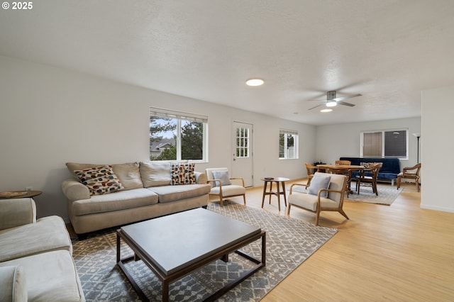 living room with a wealth of natural light, light wood finished floors, and a textured ceiling