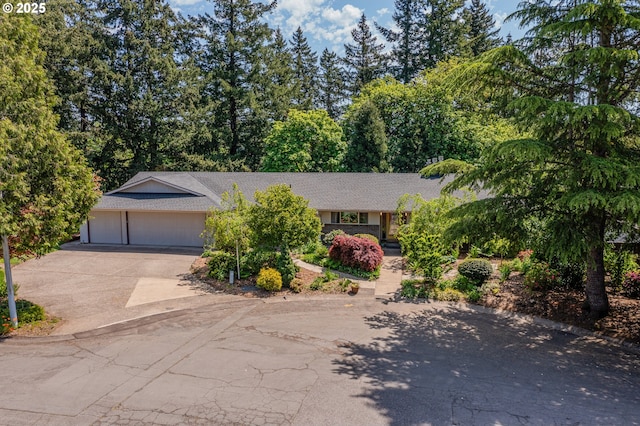 view of front facade featuring driveway, an attached garage, and a shingled roof