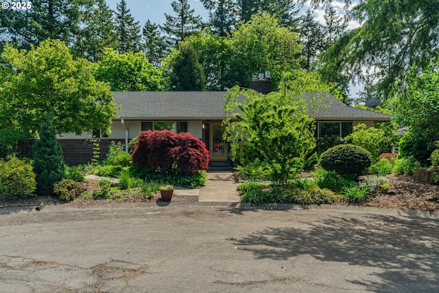 obstructed view of property featuring roof with shingles and a chimney