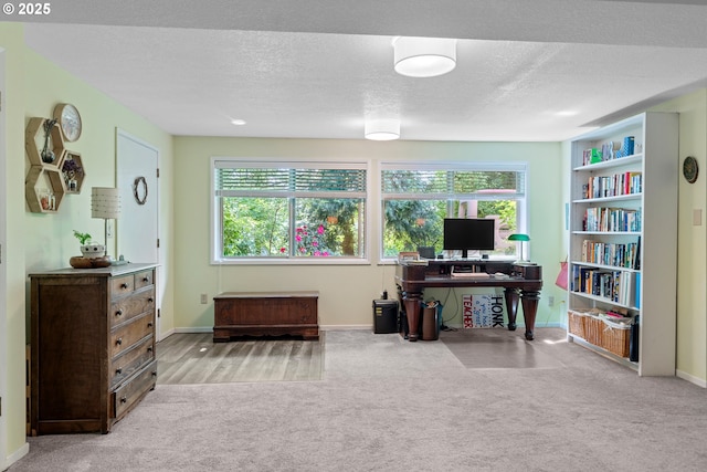 office area featuring carpet floors, plenty of natural light, baseboards, and a textured ceiling