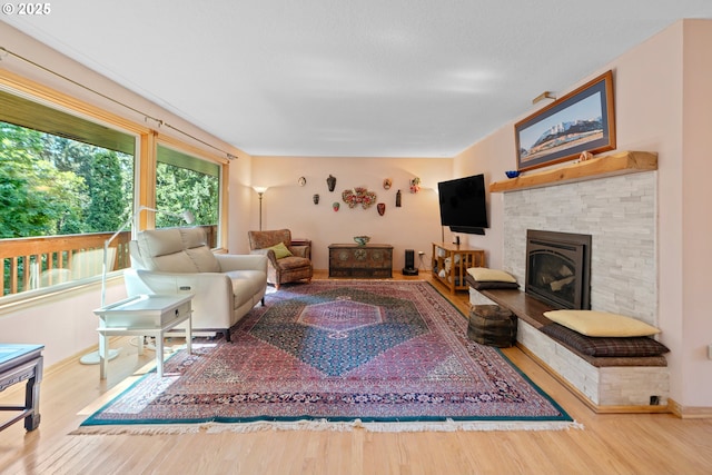 living room featuring wood finished floors and a fireplace