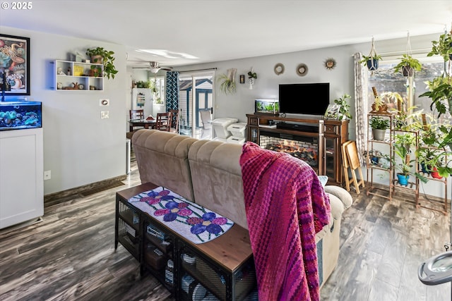 living room with ceiling fan and hardwood / wood-style floors