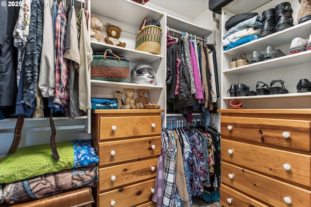 view of walk in closet