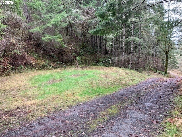 Listing photo 3 for 0 N Side Rd, Sutherlin OR 97479