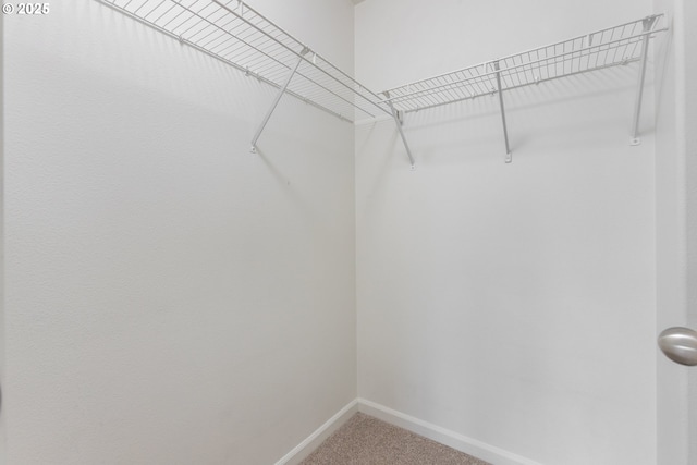 1874 NE 101st Ave Unit 202, Hillsboro, OR 97006 - spacious closet featuring carpet flooring