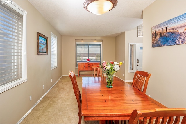 view of carpeted dining room