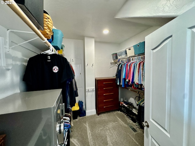 842 Chetco Point Ter, Brookings, OR 97415 - spacious closet with carpet