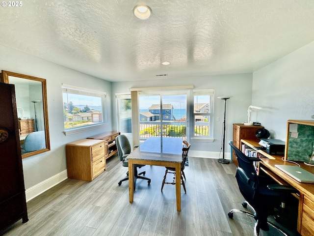 842 Chetco Point Ter, Brookings, OR 97415 - office area with light wood-type flooring and a textured ceiling