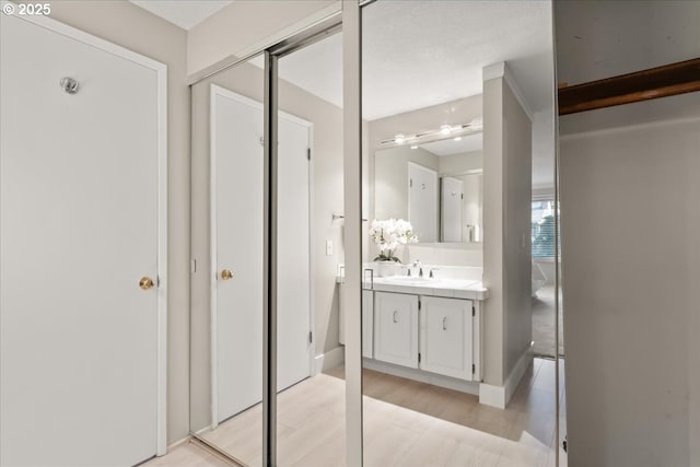 bathroom with vanity and wood finished floors
