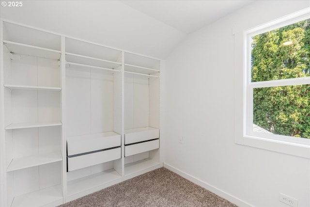 8426 NE Sumner St, Portland, OR 97220 - spacious closet with carpet flooring and lofted ceiling