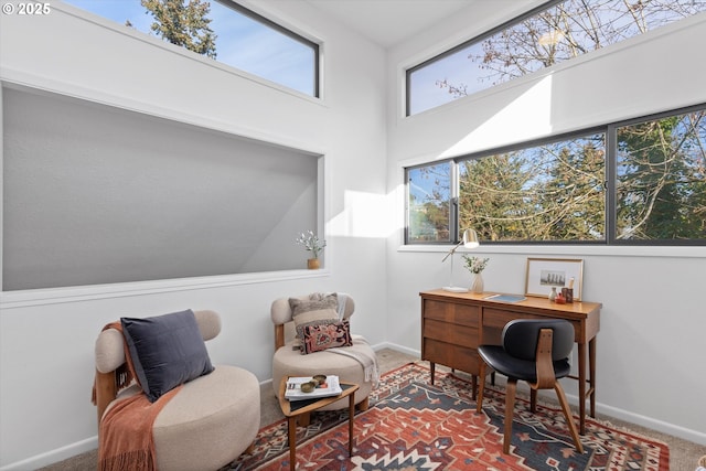 sitting room with carpet and a high ceiling