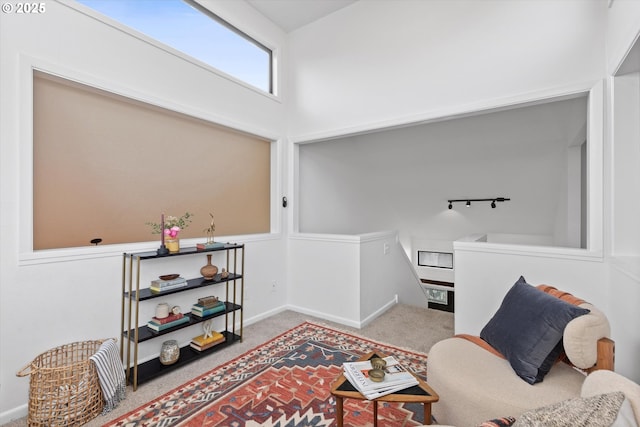 sitting room with track lighting and carpet