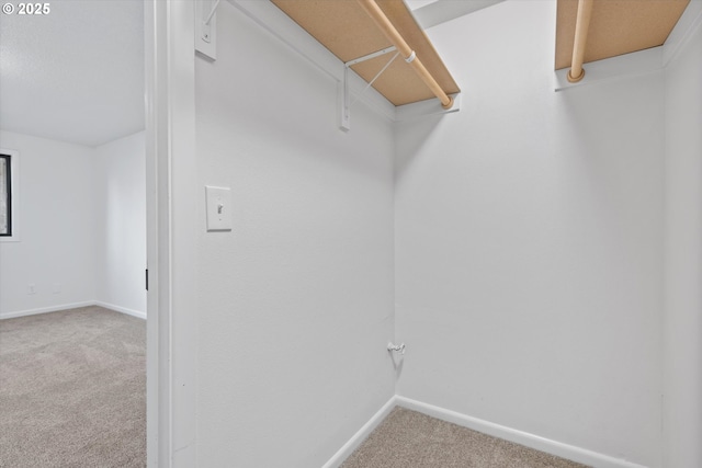 walk in closet featuring carpet floors