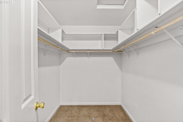 3473 Parker Ln, Springfield, OR 97477 - walk in closet with carpet flooring