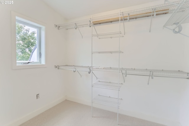325 NE Graham St Unit 10, Portland, OR 97212 - view of spacious closet