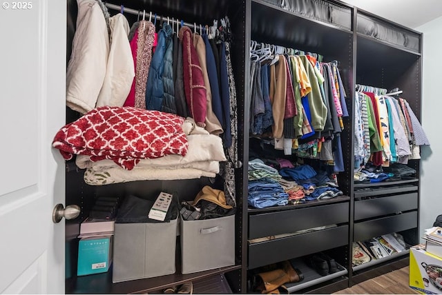 spacious closet featuring hardwood / wood-style flooring