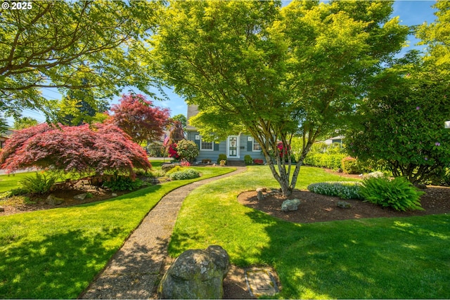 view of grassy yard