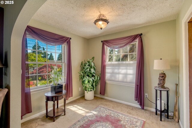 living area with light colored carpet, arched walkways, a textured ceiling, and baseboards