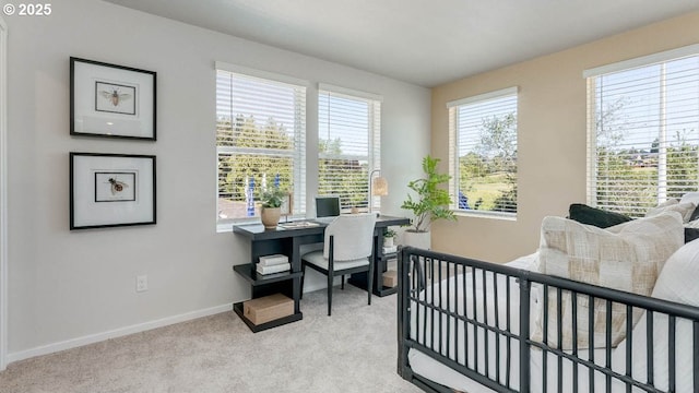 3447 SW Thomas Ave, Gresham, OR 97080 - office space featuring baseboards and light colored carpet