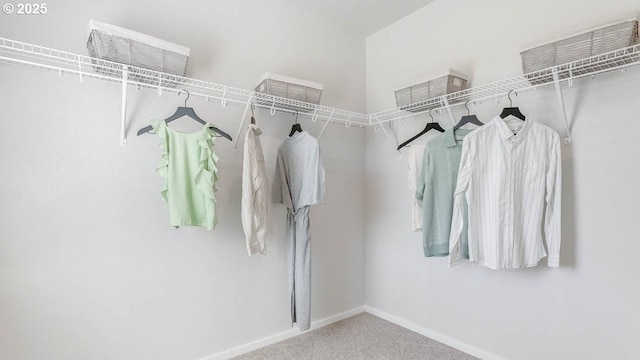 3447 SW Thomas Ave, Gresham, OR 97080 - spacious closet with carpet