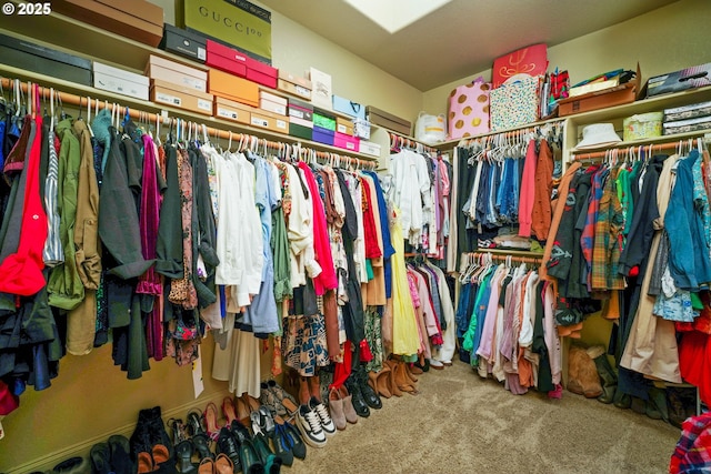 walk in closet with carpet floors