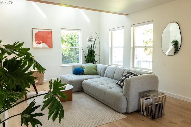 living area featuring plenty of natural light, baseboards, and wood finished floors