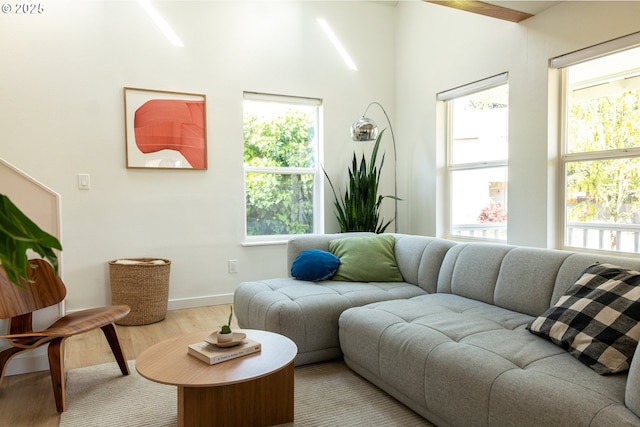 living area featuring baseboards and wood finished floors
