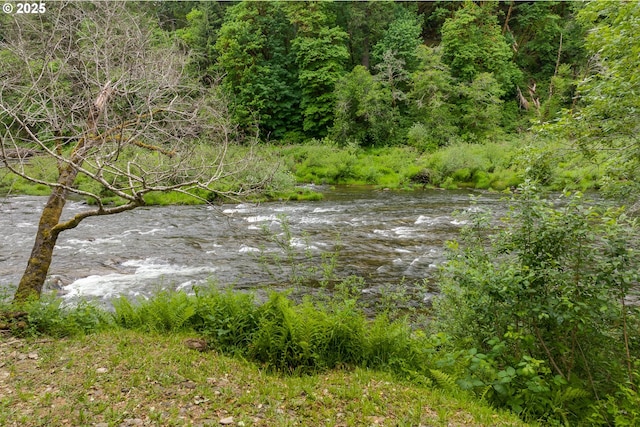 12791 Sutherland Rd, Swisshome, OR 97480 - view of woods