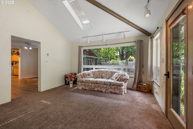 12791 Sutherland Rd, Swisshome, OR 97480 - sitting room featuring rail lighting, a skylight, carpet floors, and lofted ceiling