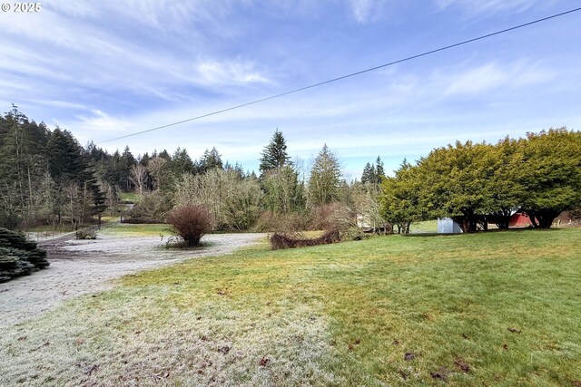 view of yard featuring a view of trees
