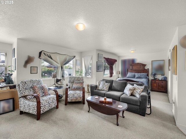 107 Sunset Blvd, Cannon Beach, OR 97110 - carpeted living area featuring healthy amount of natural light and a textured ceiling
