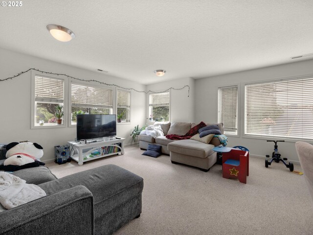 107 Sunset Blvd, Cannon Beach, OR 97110 - living area with carpet floors, a textured ceiling, and baseboards