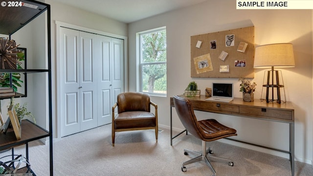 view of carpeted office