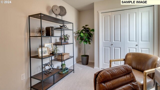 sitting room with light colored carpet