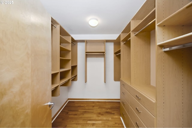 spacious closet featuring wood finished floors