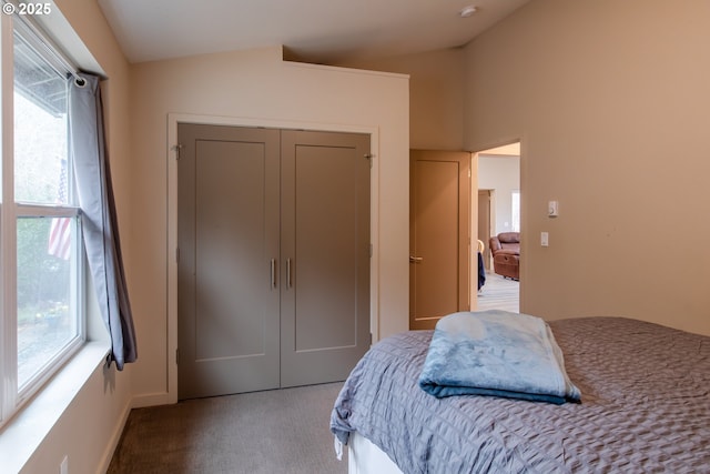 bedroom with vaulted ceiling, multiple windows, carpet, and a closet